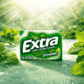 Extra Sugar Free Chewing Gum – 15 Stick Packs (Case of 10) – Spearmint