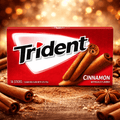 Trident Gum – 14 Stick Packs (Case of 15) – Cinnamon