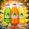 Jarritos Soda – Variety Pack (Lime, Mandarin, Pineapple) – 17.7 fl oz Bottles (Case of 24)