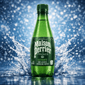San Pellegrino Sparkling Natural Mineral Water – 16.9 oz Bottles (Case of 24)