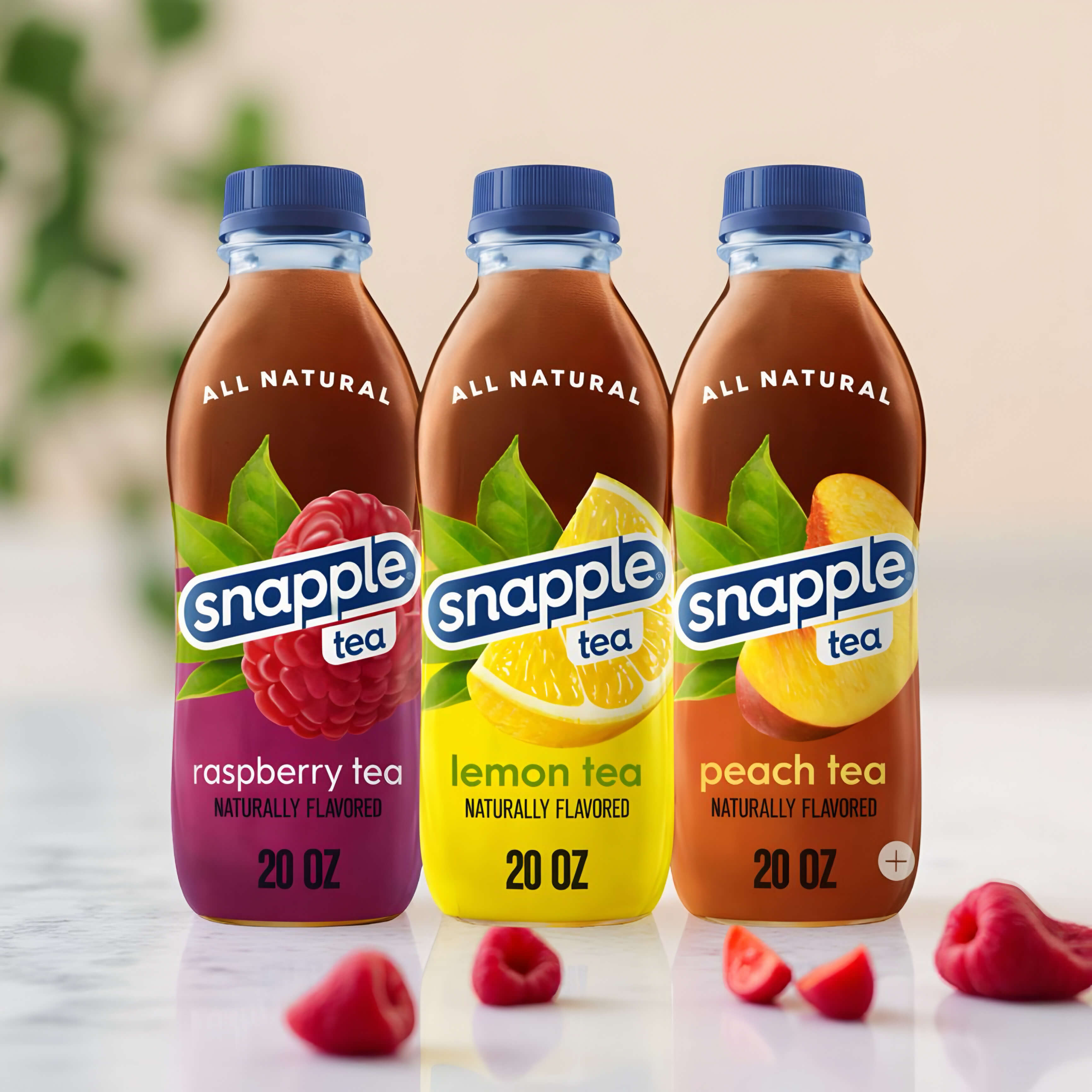 Snapple Tea – All Natural (Variety Pack) – 20 fl oz Bottles (Case of 24)